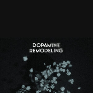 DOPAMINE REMODELING